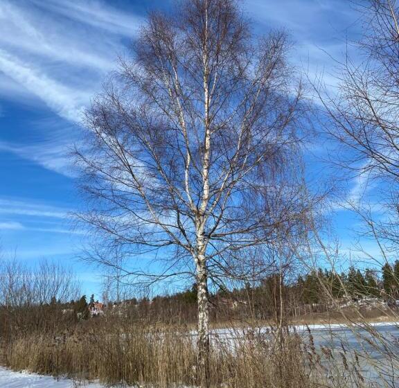 标准平房, Dr åsa Kallfors Järna Bed & Breakfast