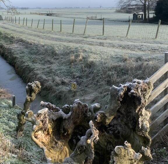 四人豪华间, Aangenaam Op De Rijn, Woonboot, Inclusief Privé Sauna