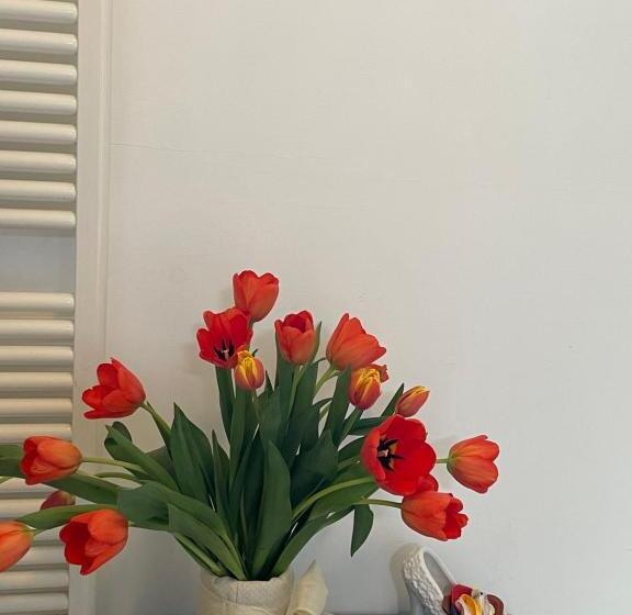 Номер Стандарт, B&b Bovianum