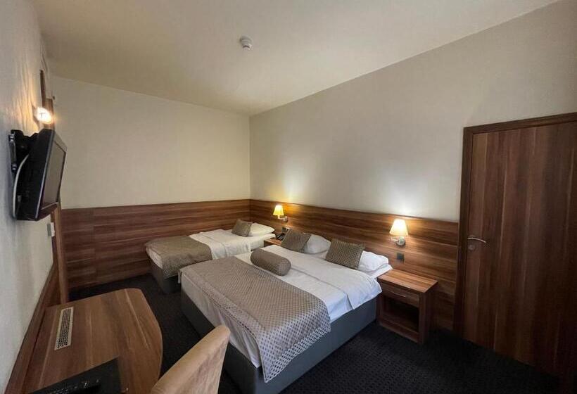 اتاق استاندارد سه نفره, Spa Hotel Terme