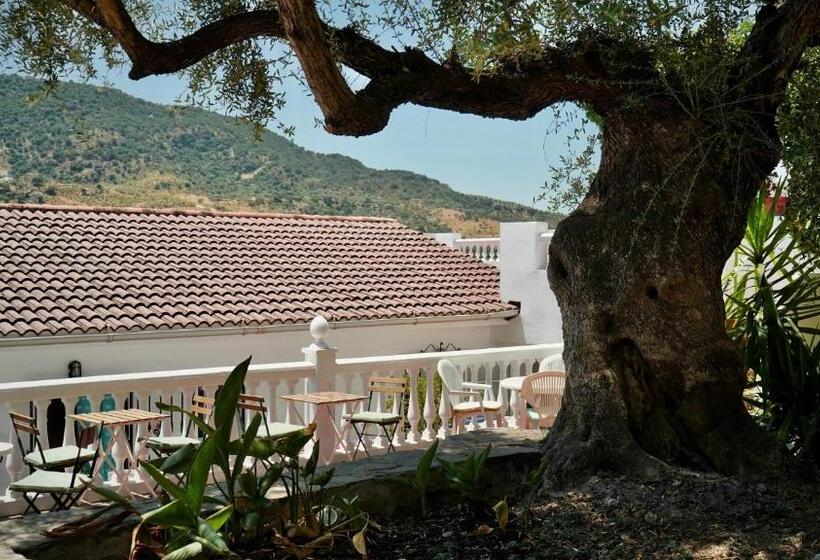 Номер Стандарт, One Life Málaga Retreat
