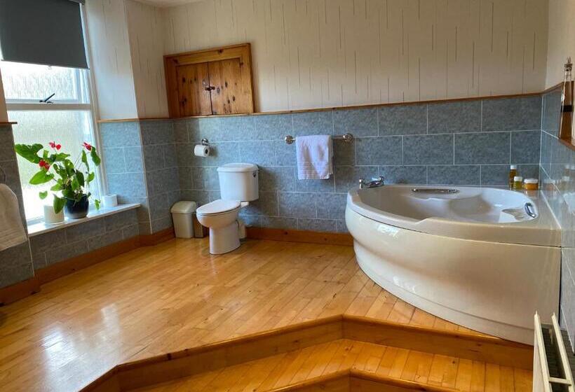 اتاق استاندارد با تخت بزرگ, Ardmor Guest House