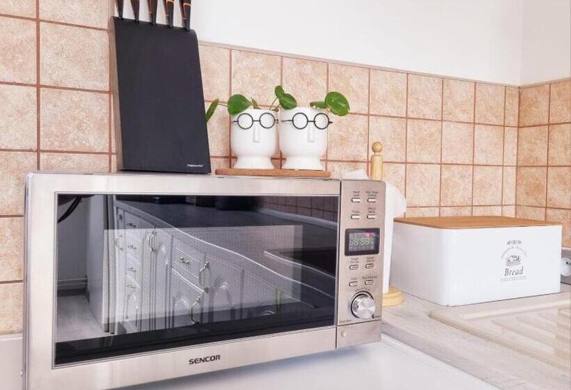 Апартаменты 1 Спальня с Балконом, Penzion Orion