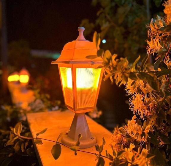 اتاق استاندارد چهار تخته, Paradise House