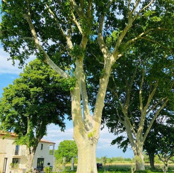 اتاق استاندارد با تخت بزرگ, Mas Des 2 Platanes