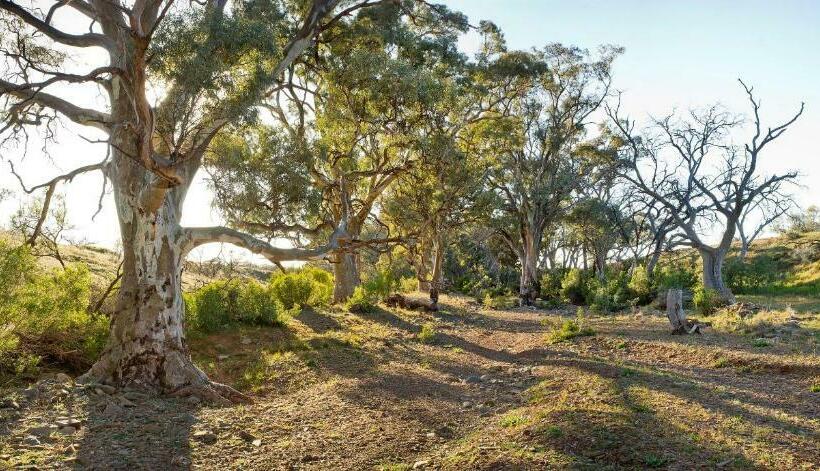غرفة قياسية, Holowiliena Station & The Outback Blacksmith