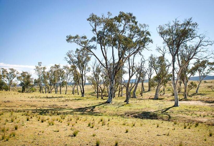 스탠다드 룸, Holowiliena Station & The Outback Blacksmith