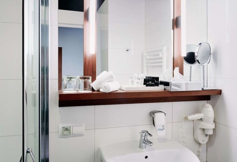 Номер Economy Индивидуальный, B&b Hotel Rzeszów Centrum