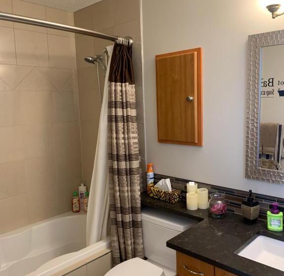 Люкс с гидромассажем, Dragonfly Inn Loft Suite