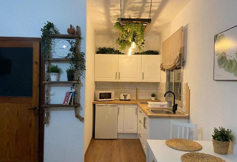 استودیوی استاندارد, B&b And Apartments El Charco Azul