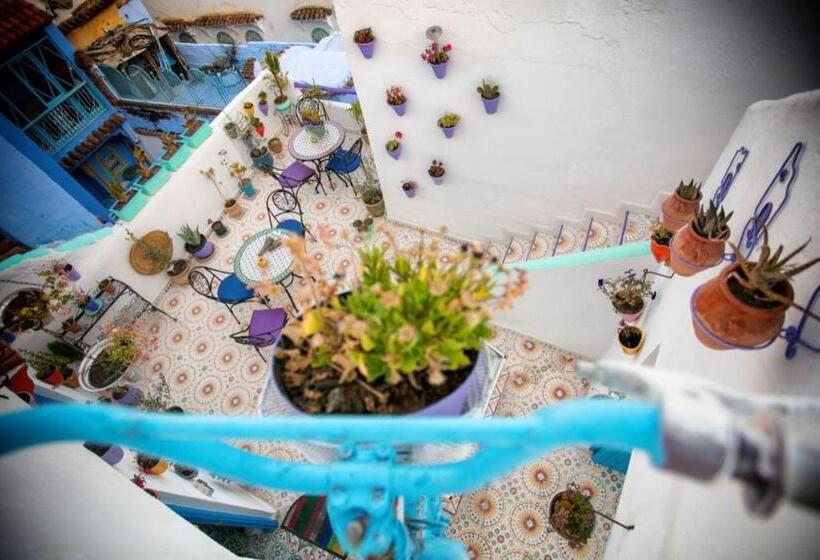 اتاق استاندارد, Afra House