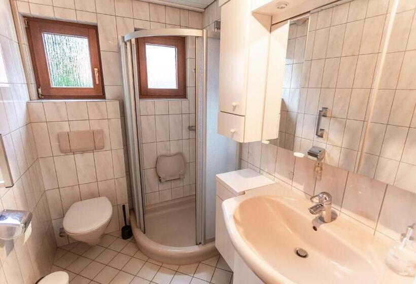 Трехместный Номер Стандарт Вид на Сад, City House Bühl