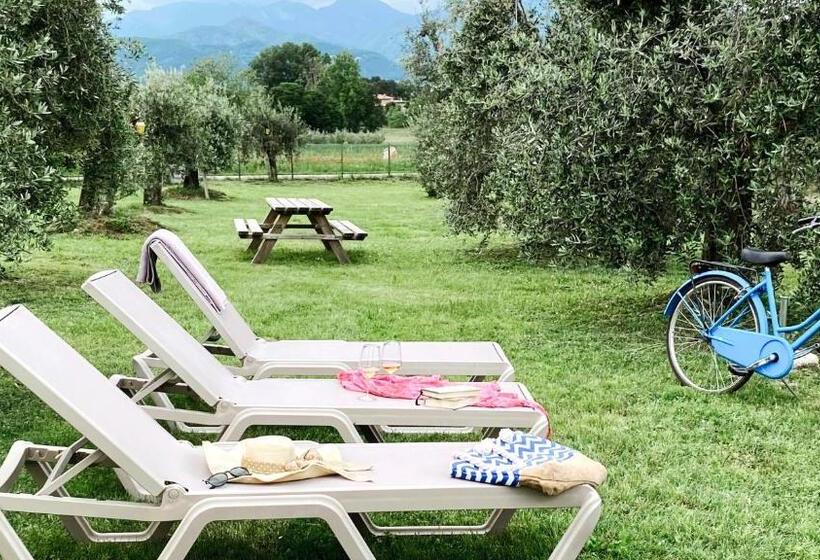 Апартаменты 1 Спальня Нижний Этаж, Agriturismo Fioralba