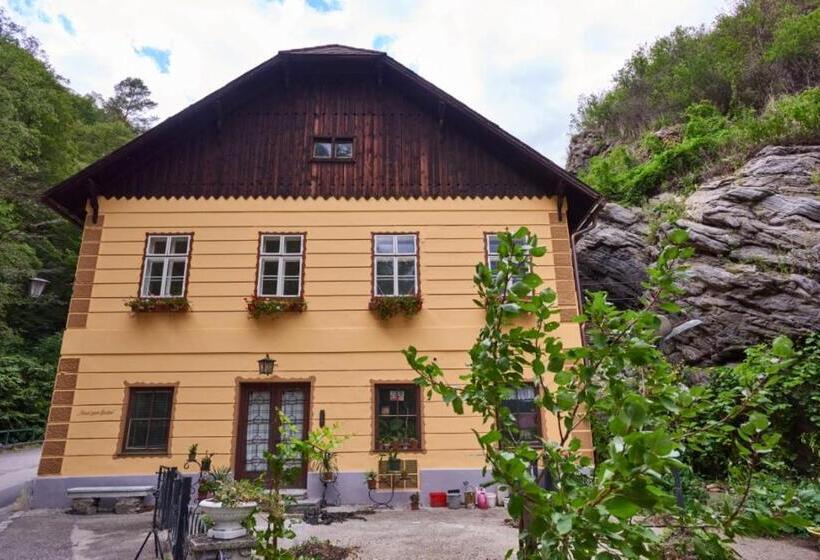 اتاق استاندارد با چشم‌انداز باغ, Haus Zum Prater