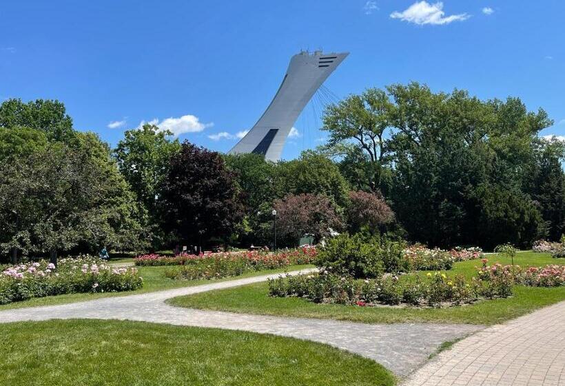 اتاق استاندارد, Homa Homestay Hotel By Olympic Stadium Montreal Auberge Hostel