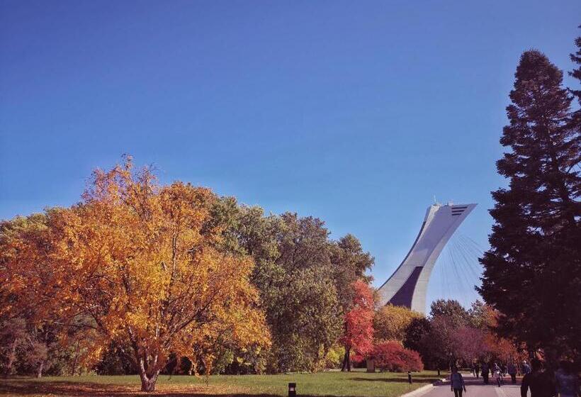 اتاق استاندارد, Homa Homestay Hotel By Olympic Stadium Montreal Auberge Hostel