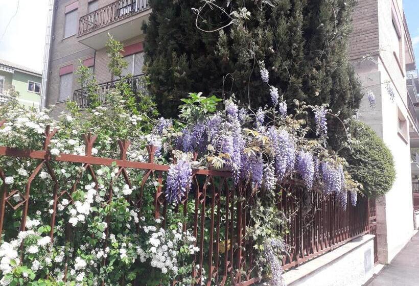 اتاق استاندارد, Maison Lavande
