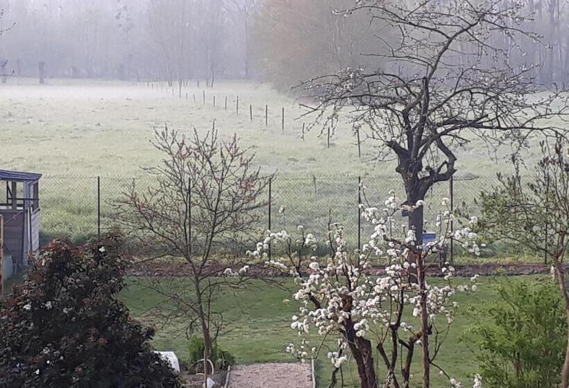 Номер Стандарт Вид на Сад, Bedloire