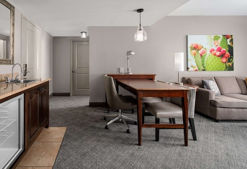 Suite Adaptada per a persones amb mobilitat reduïda, Embassy Suites San Antonio Riverwalk Downtown