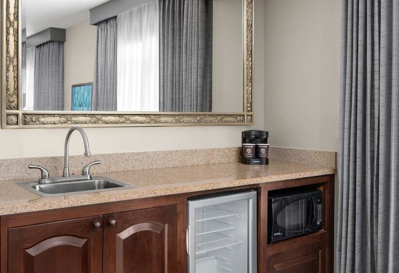 Suite Adaptada per a persones amb mobilitat reduïda, Embassy Suites San Antonio Riverwalk Downtown