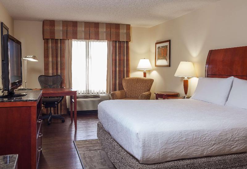 Habitació Estàndard Llit King, Hilton Garden Inn Dallas/arlington