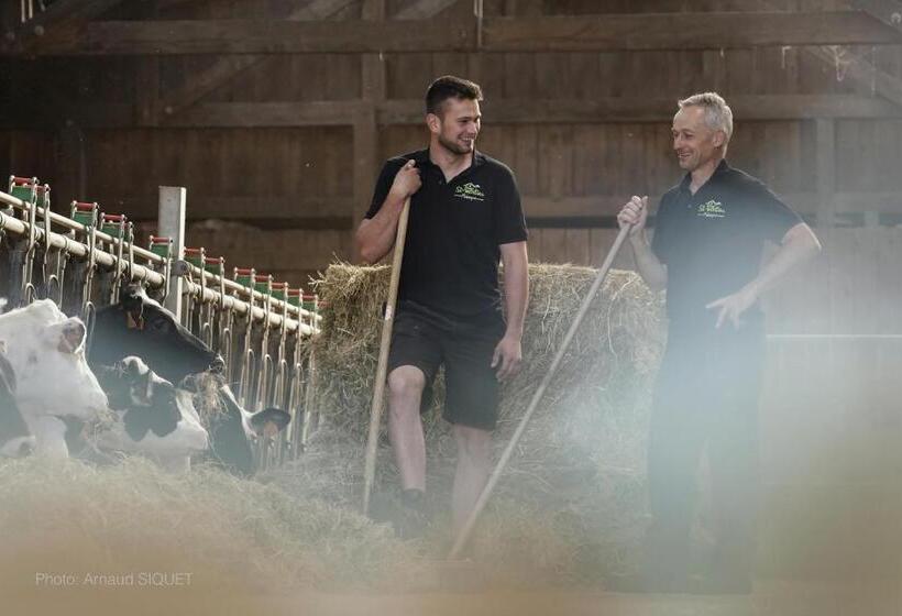 Номер Стандарт, Ferme St Martin