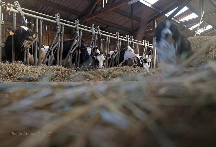 Номер Стандарт Вид на Сад, Ferme St Martin