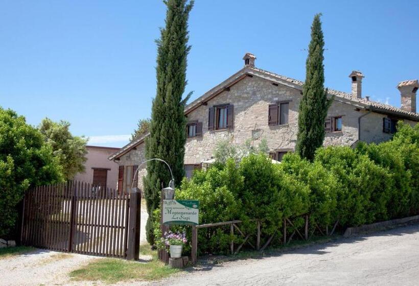 استودیوی استاندارد, Bio Agriturismo Montemenardo Apartments