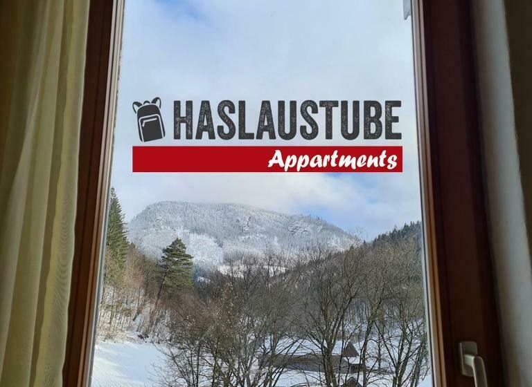 １ベッドルームアパートメント, Haslaustube