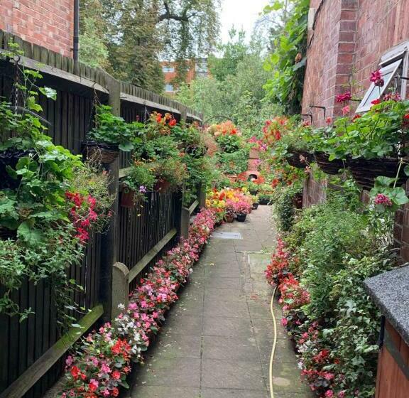 Номер Стандарт, 38 Whitehall Road
