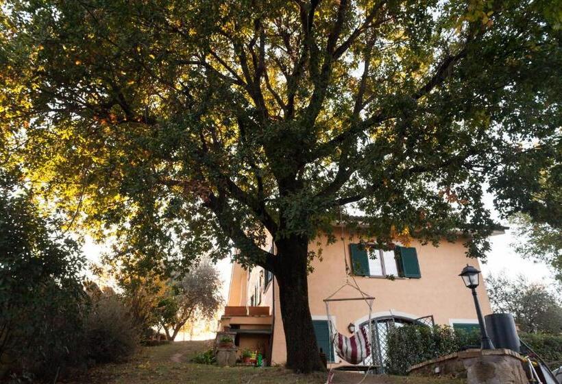 Апартаменты 1 Спальня, B&b Le Querce