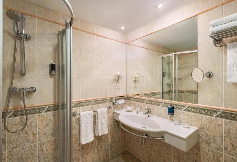 آپارتمان اجرایی 1 خوابه, Ramada Prague City Centre