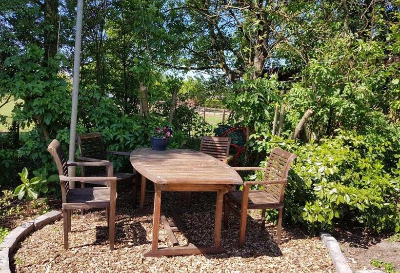 Номер Стандарт, B&b Oostrik