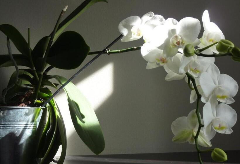 标准间, La Luna Of Marseille   Villa D Architecte B&b