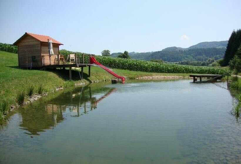 Номер Стандарт, Weingut Winzerhof Gästezimmer Grebenz