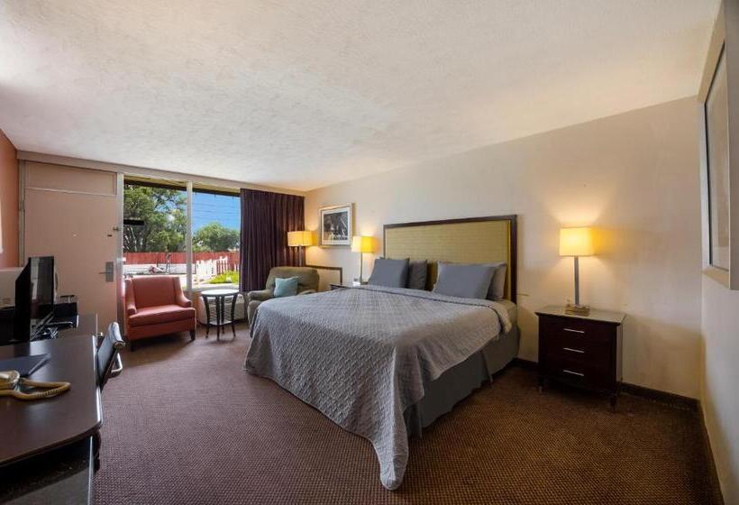 스탠다드 룸 킹사이즈 침대, Knights Inn Oakley