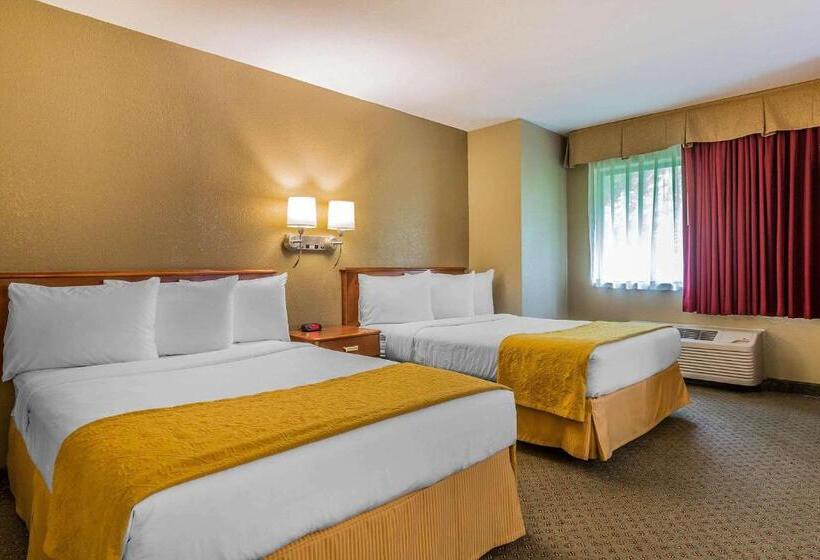 Номер Стандарт 2 Двуспальные Кровати, Quality Inn Hyde Park   Poughkeepsie North