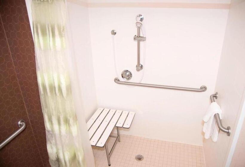 Люкс Кровать Кинг, Springhill Suites By Marriott Chicago Naperville Warrenville