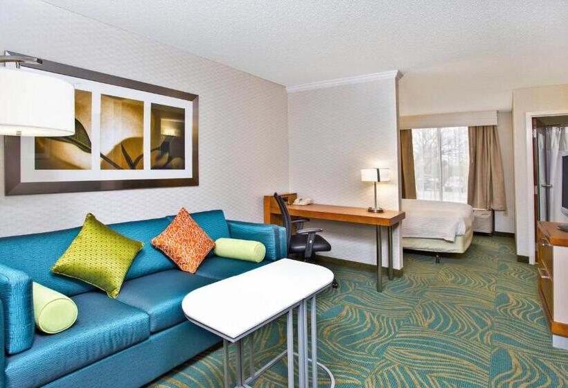 Люкс Кровать Кинг, Springhill Suites By Marriott Chicago Naperville Warrenville