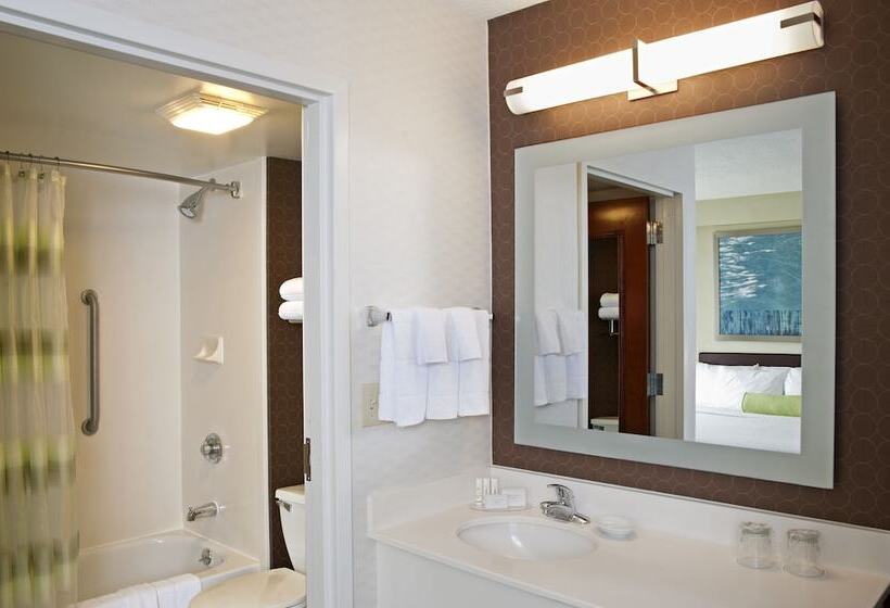 Люкс, Springhill Suites By Marriott Chicago Naperville Warrenville