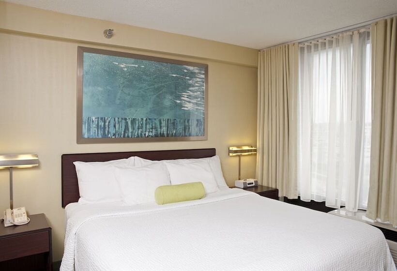 Люкс, Springhill Suites By Marriott Chicago Naperville Warrenville
