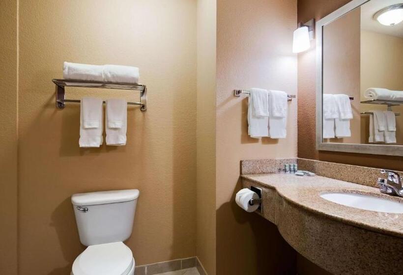 Стандартный Номер Кровать Кинг, Best Western Granbury Inn & Suites