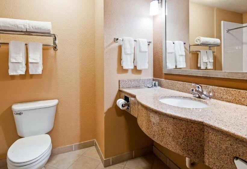 Люкс Кровать Кинг, Best Western Granbury Inn & Suites