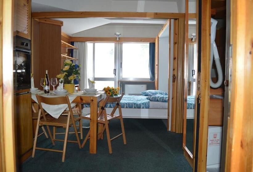 1 Bedroom Apartment Mountain View, Residence Il Vigo Di Marilleva