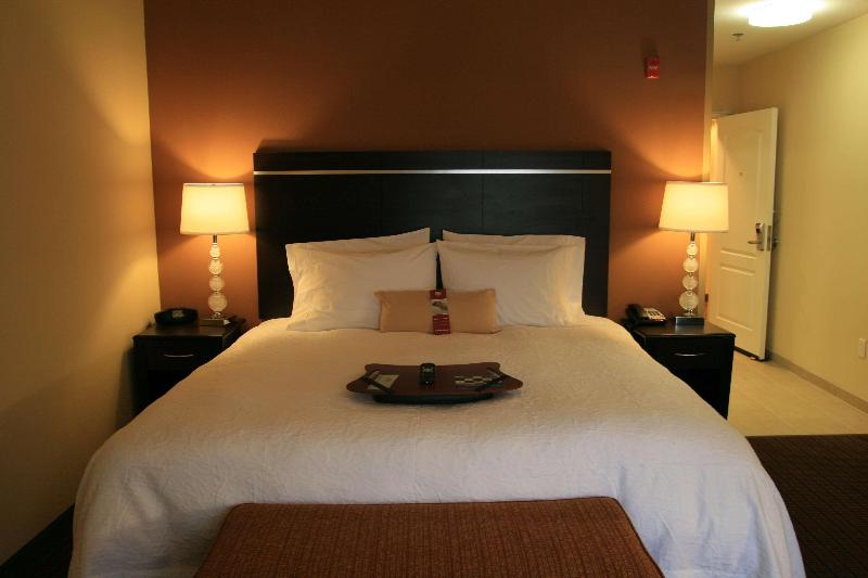 Стандартный Номер Кровать Кинг, Hampton Inn La Junta