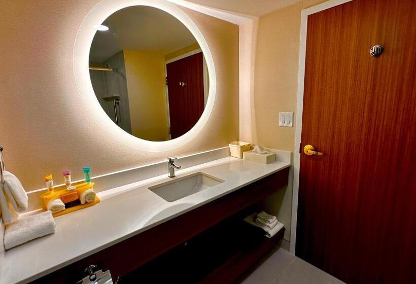 Номер Стандарт Кровать Кинг Адаптированный для Инвалидов, Newmarket Hotel And Suites
