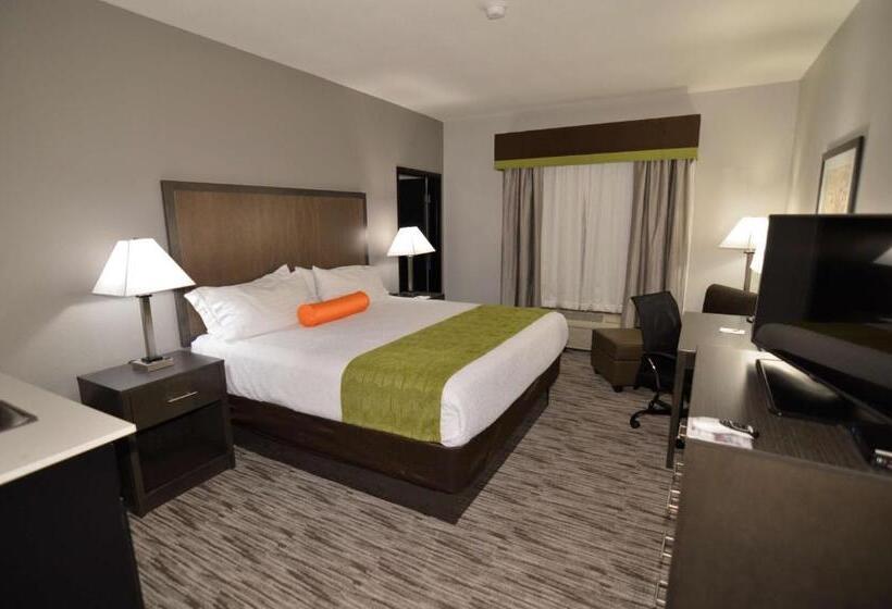스탠다드 룸 킹사이즈 침대, Best Western Plus Liberal Hotel & Suites