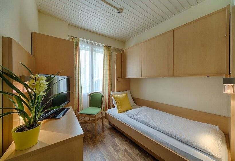 اتاق استاندارد یک نفره, Blume Interlaken