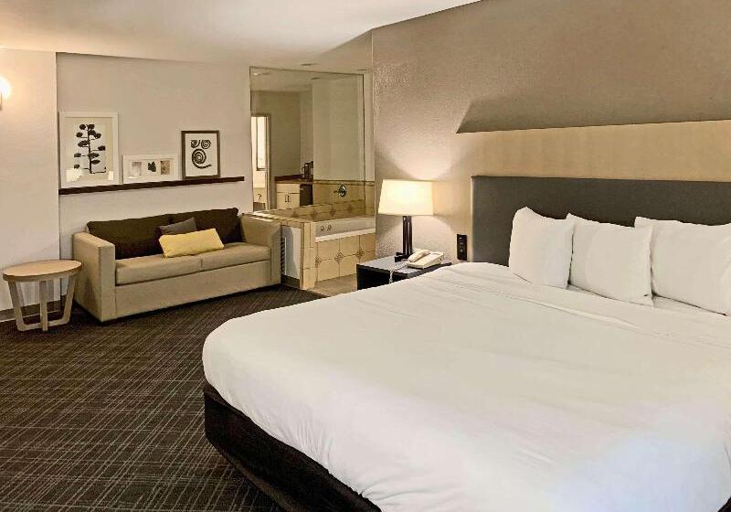 Люкс Кровать Кинг, Comfort Inn & Suites Rustoneast
