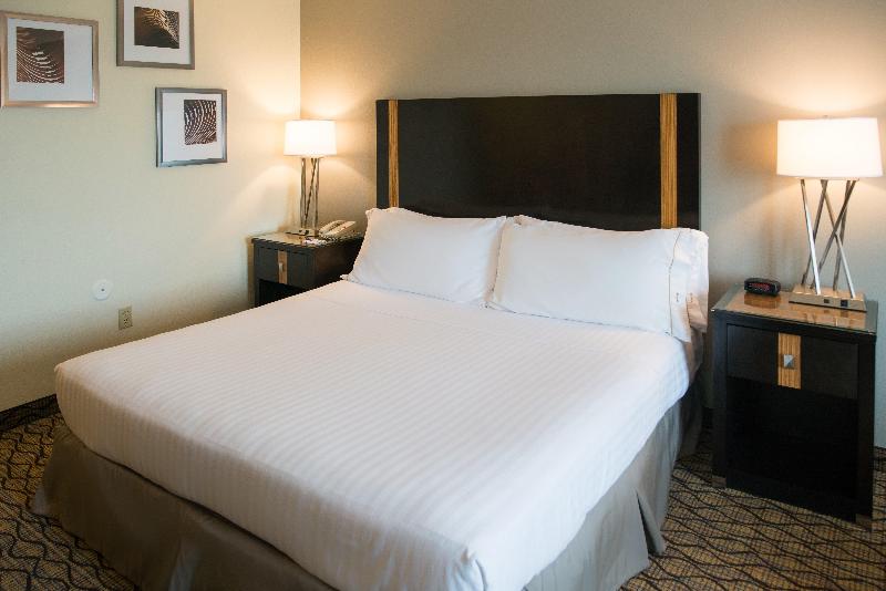 Номер Executive Кровать Кинг, Holiday Inn Express Hotel & Suites Chanhassen By Ihg